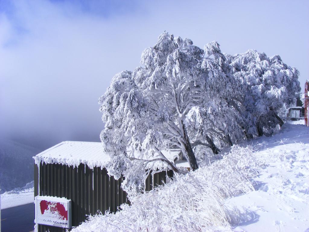 Vila Arlberg Hotham Mount Hotham Exteriér fotografie
